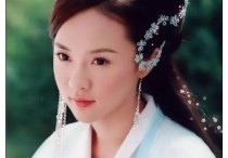 演员霍思燕几个孩子（霍思燕一家人游玩环球影城被网友偶遇）