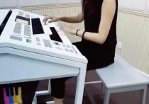 玖月奇迹的钢琴大概多少钱（玖月奇迹的双排键琴多少钱他们俩人是兄妹还是夫妻）