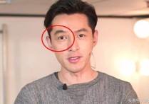 胡歌和外国明星撞脸（这种跨国百年撞脸还真是难得一见）