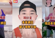 演员刘畊宏与妻子（还有谁不是刘畊宏女孩呢）
