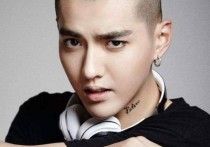 吴亦凡从明星到恶魔的坠落（也给那些躺在明星脚下的人以警醒）