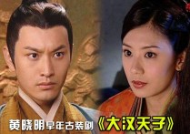 解析黄晓明背后的投资脉络（看起来喜欢赵薇的他其实真的不一样）