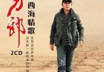 刀郎一个优秀音乐人创作者及歌手（一个把歌声永远留在人们心里的人）