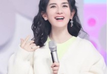 谢娜粉丝体育明星（借澳元还人民币现在借钱的都是大爷）