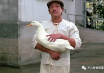 他是光头强原型（吴耀汉演的角色真的潜移默化影响很多人）