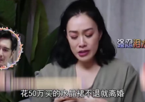 香港明星钟丽缇（花50万买了条裙子为了给老公惊喜）