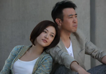 《男人的战争》于和伟应采儿主演（回城知青奋斗故事被忽视的经典）