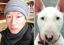 牛头梗孙红雷什么梗  呆萌天花板为何被禁养了呢
