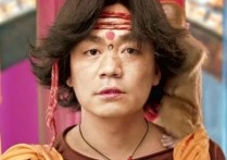 王宝强电影作品（进几年王宝强基本上保持着一年一部主演电影的拍摄）