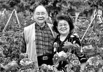  演员王善朴简介（要守正更要创新要打好豫剧现代戏这面红旗）