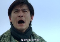 宁静和张国荣演的电影（这会不是他演技最好的时候但绝对是他人生最美好的时候）
