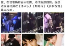 贾宝玉边程的崩塌史（除了最重要的作品还要有情商和智商）