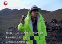 极限挑战致歉声明   刘宇宁称自己采摘的是节目组给的道具