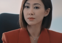 《廉政狙击》里美女演员  有的性感有的颜值能打有的演技好