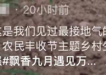 40岁王宝强下地干农活（皮肤黝黑手法娴熟戴手套割稻谷惨遭调侃引热议）