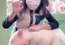 演员贾静雯父亲  虽然也经历了一段不愉快的婚姻但是好在现在又遇见了对的人