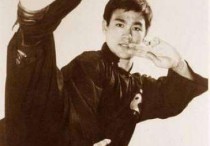 台湾演员李小龙简历对于李小龙的真实功夫后人众说纷纭