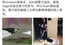 Lady Gaga遛狗员遭枪击  胸部中4枪愿意50万美元赎犬
