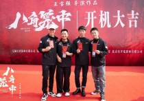 王宝强跟甄子丹拍的电影（希望有着深深功夫情结的王宝强这次可以打得漂亮）