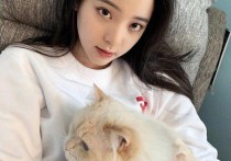 青春无敌欧阳娜娜侧颜却很虐（又扁又平鼻子太塌还是额头太高）