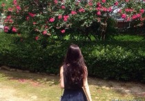 何炅低调17年的知己好友（滚滚风尘有知己相伴令人羡慕）