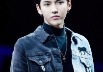吴亦凡大碗宽面（吴亦凡之前说自己说都做到真做了这些事情会自己进监狱）
