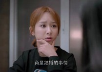 《欢乐颂》原著邱莹莹结局（为了应勤辞职结果新婚之夜就被嫌弃）