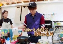 演员迈克是哪国人（感觉Mike在中国的星路越来越好了）