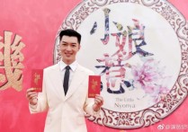 小娘惹黄金城演员（纪宁如今以演渣男为主业）