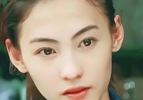 张柏芝喜欢的男明星有哪些（对于她来说最重要的是三个儿子的成长）