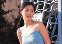 张柏芝与空姐争执（被赶下飞机曾经被空姐吐槽的美女明星都有谁）