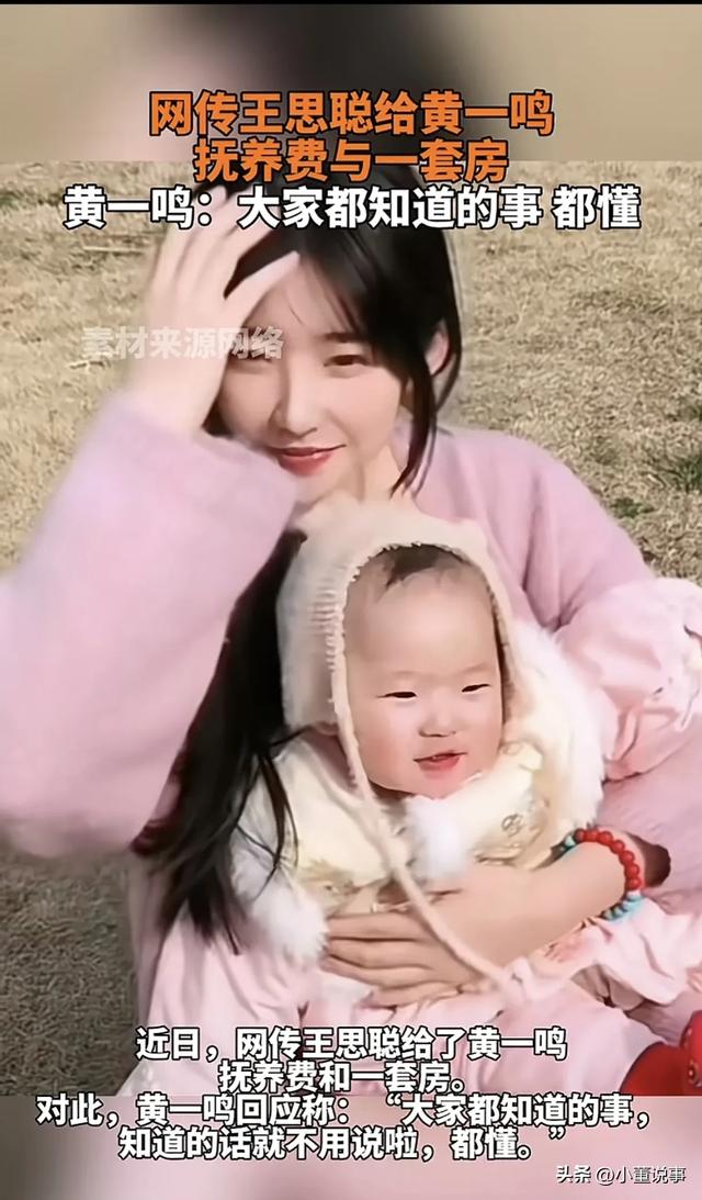 黄一鸣与王思聪抚养费事件
